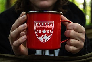 If I Were Prime Minister: A (Mostly) No-Nonsense Plan for Canada’s Economic Uncertainty