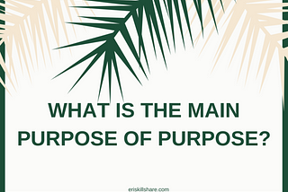 What is the main purpose of purpose? — Issue #26