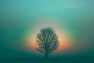 Consciousness seeks a purer state