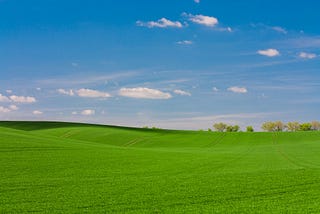 Shiny Green Grass