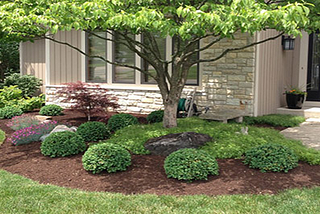 Top Quality Tulsa Lawn Services: Elevating Your Outdoor Space