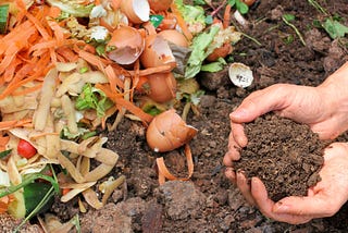 Home composting is great for the garden and the environment!