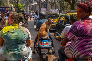 Scandal Meets Celebration: Why Do We Cheer On Holi What We Criticize Year Round?
