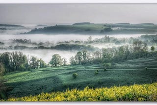 A scenic, misty landscape of rolling green hills and valleys at sunrise. Trees line the hills, with fog settled in the lower valleys. The foreground features a bright patch of yellow wildflowers, while the background fades into distant, soft green ridges under a hazy gray sky.