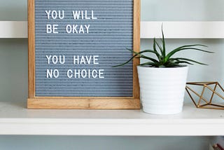 Image saying “You will be ok, you have no choice”