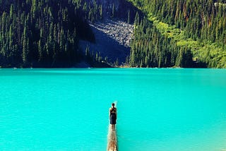 A vibrant blue lake. A person in the center of the photo is standing on a tree log, looking out at the water and distant pine trees.