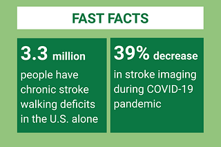 The Indirect Effects of COVID-19 on Stroke Care