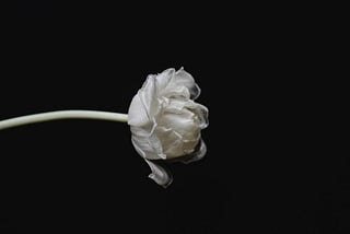 My Father Died Today