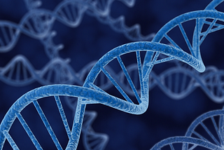 Epigenetics: the bond between environment and heredity