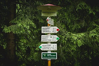 trail sign post with many signs pointing in all directions; green trees in the background