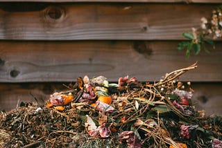 New lease of life: transforming biowaste into a valuable resource