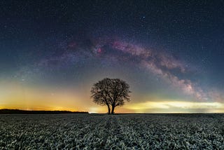a single tree standing alone in the field under a starry sky, milky way, cosmos, with a touch of light in the distance.