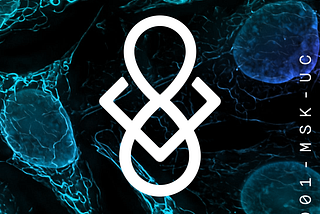 IP-NFTs for Researchers: A New Biomedical Funding Paradigm