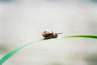 [計畫] 建一份 Degrowth 的常見問答