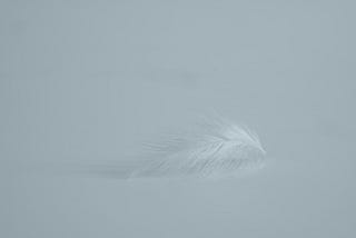 A blank background with the faint impression of a white feather