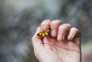 A small butterfly resting on a human hand