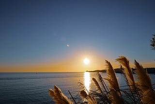 Answers Often Whisper Through The Echoes Of Nature’s Wisdom