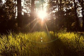 My thoughts* on ACIM Workbook and Lesson 188, July 7, 2025, The Peace of God is Shining in Me Now