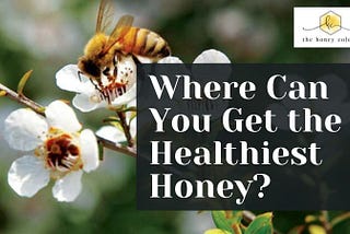 Where Can You Get the Healthiest Honey?