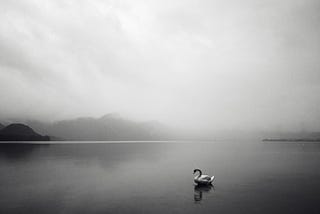 beautiful lake with mountains and mist and a swan on the lake in pur silence