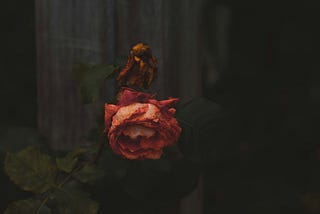 The old me died that day.