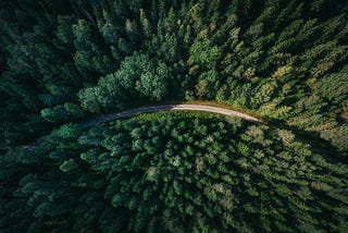 Tips for Landing your First AI Role