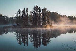 A beautiful photo of a lake by a forest