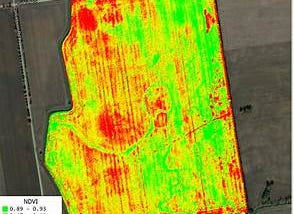 A Portable NDVI Device