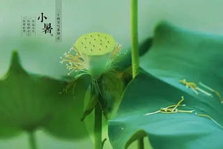 软件架构设计的核心：抽象与模型、“战略编程”