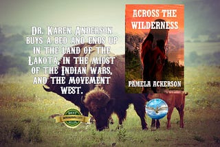 “Creative Mix of Historical Fiction and Time Travel” — Across the Wilderness (The Wilderness…