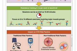 Resistance Exercise and it’s effect on Cardiovascular Disease and Risk Factod