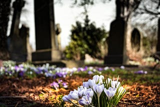 Flowers at a grave — the importance of legacy and eulogy values