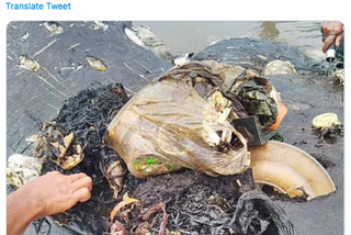 5 Reasons You Should Replace Your Plastics with Glass