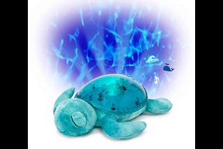 cloud-b-tranquil-turtle-aqua-1