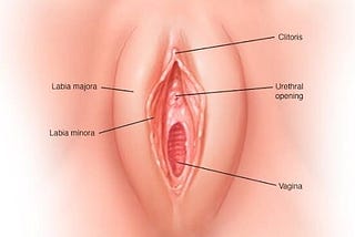 Boy Was Drawing Vagina……The Reason Shocked Me…