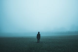 A person standing in a foggy field.