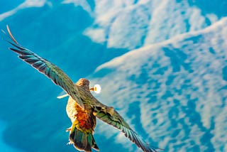 A colorful bird flies over mountains with outstretched wings