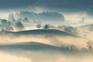 Decoding the Misty Dream of Mental Illness