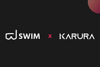 Swim Launches Metapool on Karura’s EVM+, Enabling Native Stablecoin Swaps via Wormhole
