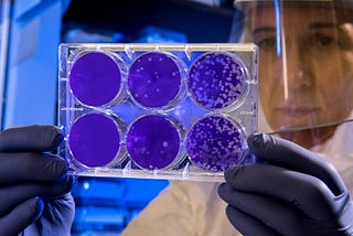 Image of scientist with petri dishes from Centre for Disease Control