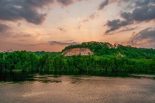 landscape consisting of forest with water in the front and a cloudy sky behind