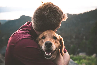 5 Ways to Help Your Dog Live Long