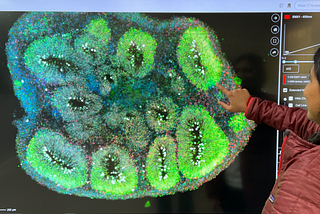 Herophilus Orchestra: the best Drug Discovery Operating System you’ve never heard of