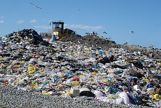 Plastic Bag Ban Takes Cuny Brooklyn College for a Loop