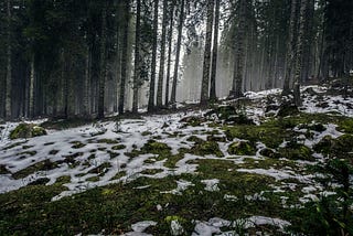 Not the snow they show in movies