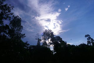 Stop. Breathe. Listen.