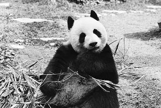 Be aware of this pitfall in pandas