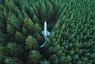 Plane in trees. Like my sanity among my inner demons