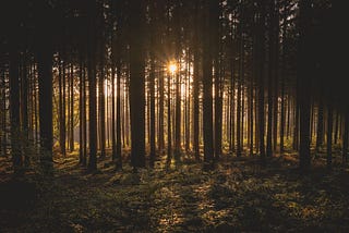 Outside: 2.5 years of training outdoors