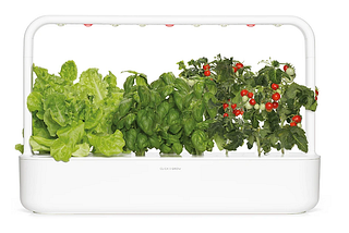 Indoor gardening is here to stay